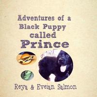 bokomslag Adventures of a Black Puppy called Prince