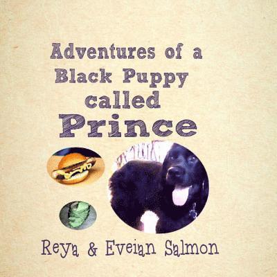 Adventures of a Black Puppy called Prince 1