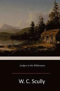 bokomslag Lodges in the Wilderness