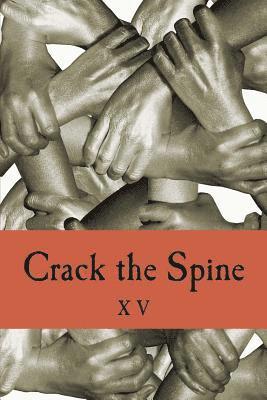 bokomslag Crack the Spine XV