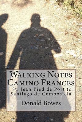 bokomslag Walking Notes Camino Frances: Day to day from St. Jean Pied de Port to Santiago de Compostela