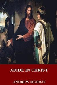 bokomslag Abide in Christ