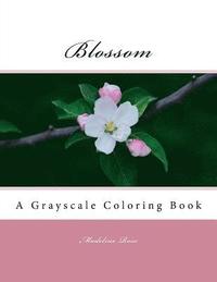 bokomslag Blossom: A Grayscale Coloring Book