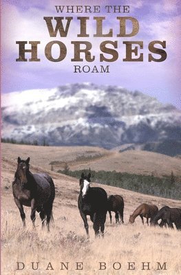 Where The Wild Horses Roam 1