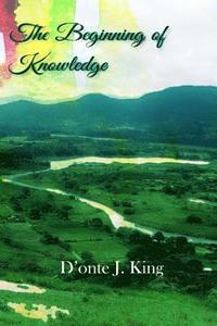 bokomslag The Beginning of Knowledge