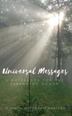 Liz McConahay Wanfried - Universal Messages, Häftad