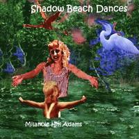 bokomslag Shadow Beach Dances: Do Not Be Afraid To Get Your Feet Wet While Dancing Barefoot In Sand Or Wandering God's Seas