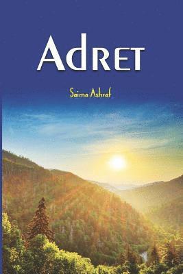 Adret: Facing Disabilities with Grace 1