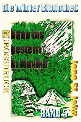 bokomslag Dann bis gestern in Mexiko