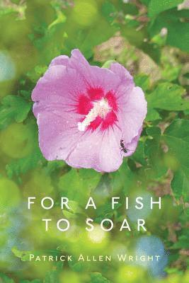 For a Fish to Soar 1