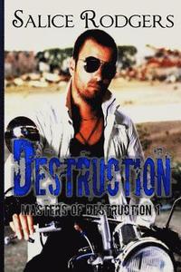 bokomslag Destruction (Masters Of Destruction Book 1)