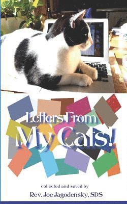 bokomslag Letters from My Cats: Inspirational reflections from my cats