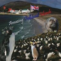 bokomslag Amazing Falkland Islands
