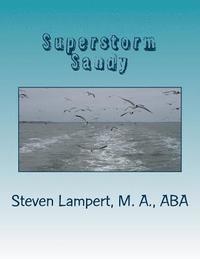 bokomslag Superstorm Sandy: Thesis