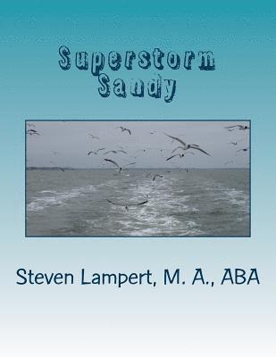 bokomslag Superstorm Sandy: Thesis