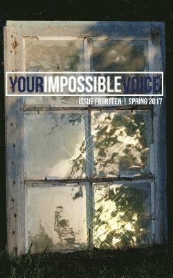 Your Impossible Voice #14 1