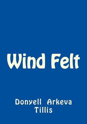 bokomslag Wind Felt