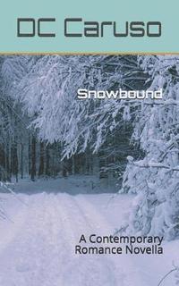bokomslag Snowbound: A Contemporary Romance Novella