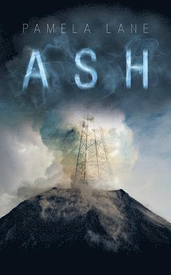 Pamela Lane - Ash, Häftad. Tillgänglighet: Lägg i varukorg