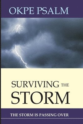 Surviving The Storm: The Storm Is Passing Over 1