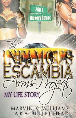bokomslag The Infamous Escambia Arms Projects: My Life Story