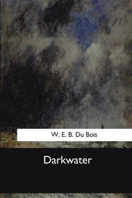 bokomslag Darkwater