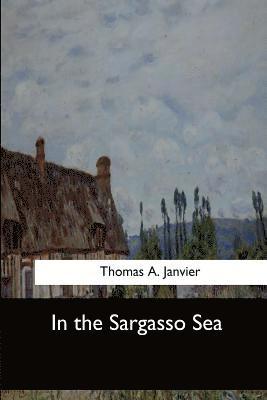 bokomslag In the Sargasso Sea