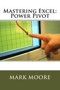 bokomslag Mastering Excel: Power Pivot