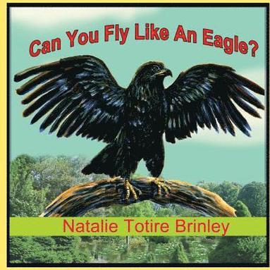 bokomslag Can You Fly Like An Eagle?