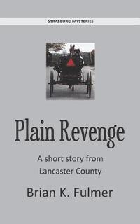 bokomslag Plain Revenge: A short story taken from Lancaster County