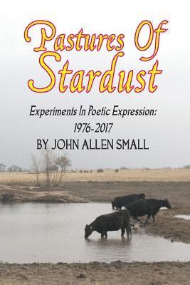 bokomslag Pastures Of Stardust: Experiments In Poetic Expression