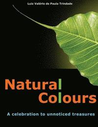 bokomslag Natural Colours: A celebration to unnoticed treasures