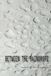 bokomslag Between the Raindrops