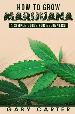 How to Grow Marijuana: A Simple Guide for Beginners 1