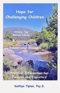 bokomslag Educational Issues: Practical Information for Families and Educators