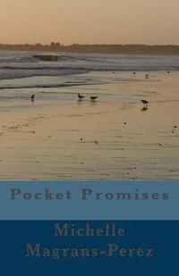 bokomslag Pocket Promises