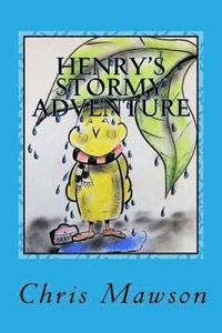 bokomslag Henry's Stormy adventure: Henry the budgie becomes lost in his garden during a storm in the garden. Frightened and in search of shelter, Henry s