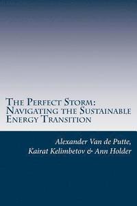 bokomslag The Perfect Storm: Navigating the Sustainable Energy Transition