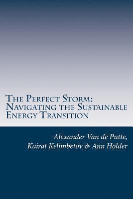 bokomslag The Perfect Storm: Navigating the Sustainable Energy Transition