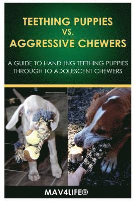 Teething Puppies vs. Aggressive Chewers: A Guide to Handling Teething Puppies Through to Adolescent Chewers 1