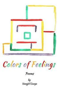 bokomslag Colors of Feelings