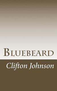 bokomslag Bluebeard
