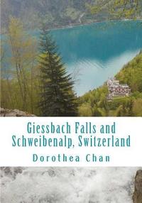 bokomslag Giessbach Falls and Schweibenalp, Switzerland