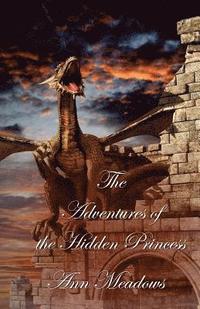 bokomslag The Adventures of the Hidden Princess