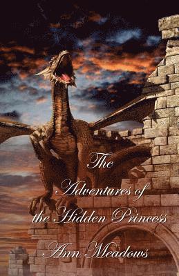 The Adventures of the Hidden Princess 1