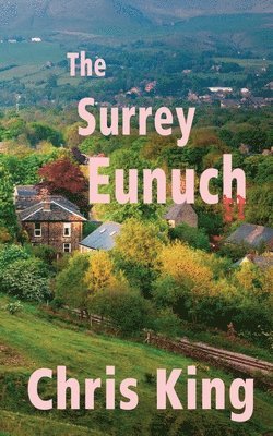 The Surrey Eunuch: Brockton St. Giles 1