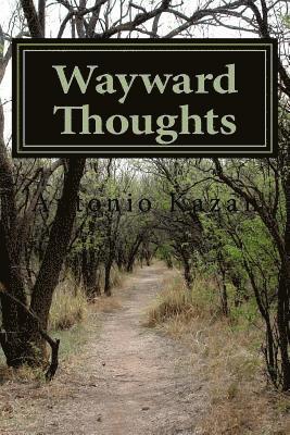 bokomslag Wayward Thoughts