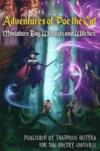 bokomslag Adventures of Poe the Cat: Miniature Boy, Wizards and Witches