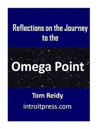 bokomslag Reflections on the Journey to the Omega Point