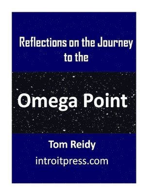 Reflections on the Journey to the Omega Point 1